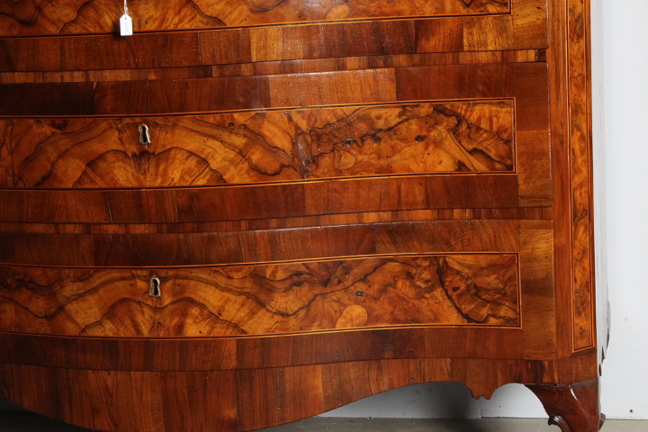 Louis XV chest of drawers in walnut, olive, maple and ebony, 1750 6