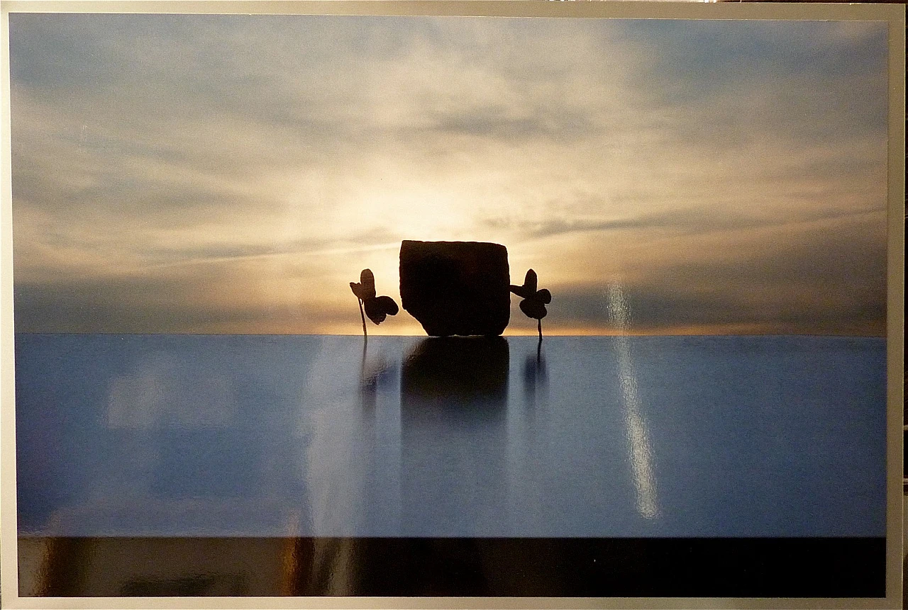 Nicola Brindicci, Assembly at dawn, photograph, 2008 2