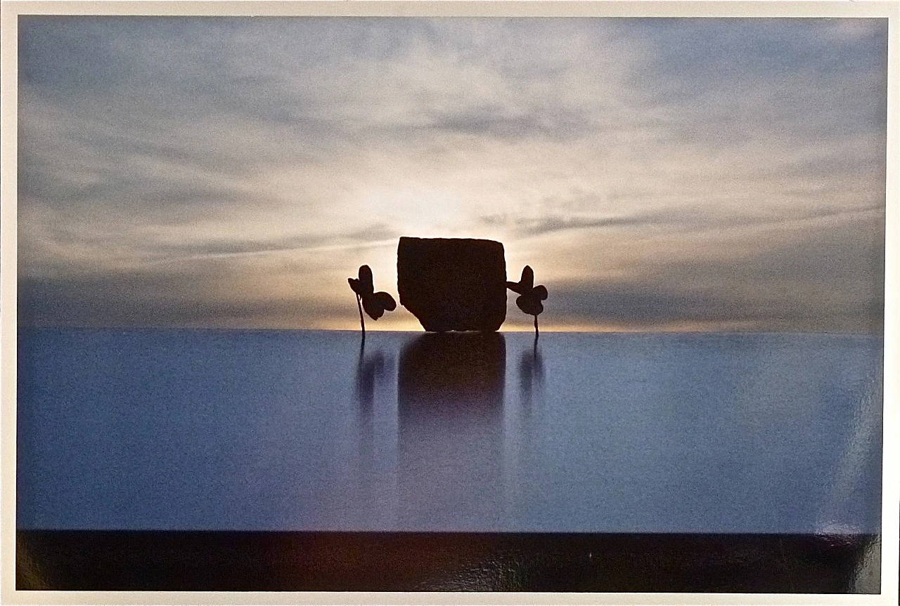 Nicola Brindicci, Assembly at dawn, photograph, 2008 4