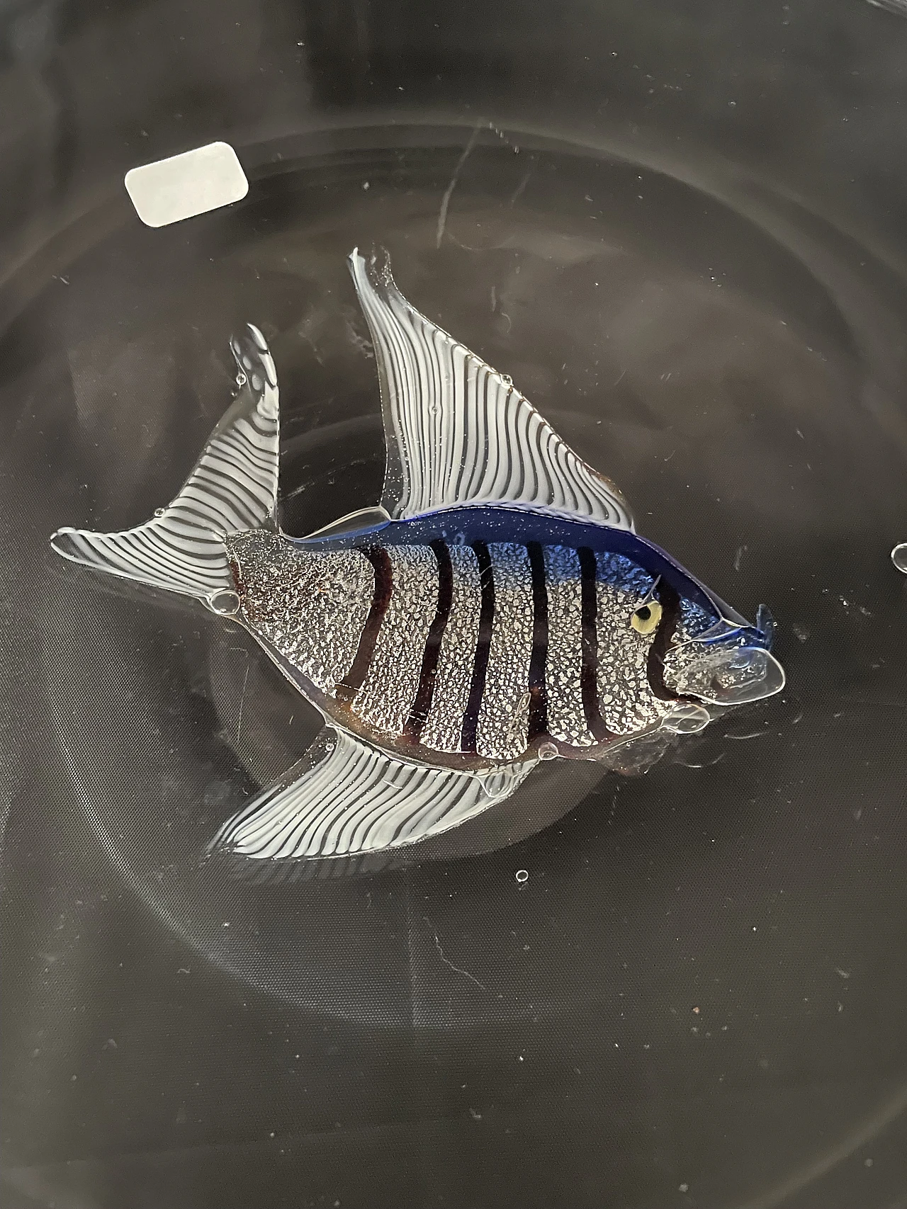 Glass plate with fish by Pino Signoretto, 1980s 2