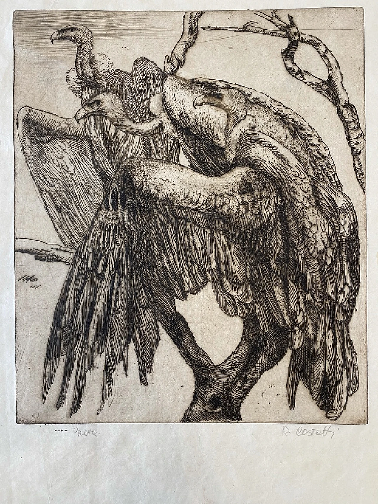 Romeo Costetti, Vultures, etching and drypoint 1