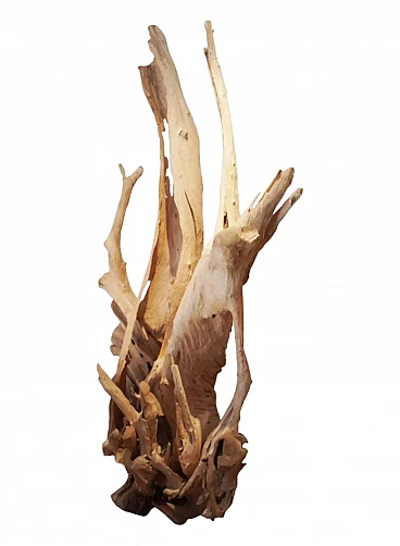 Bleached and carved olive tree trunk, 18th century