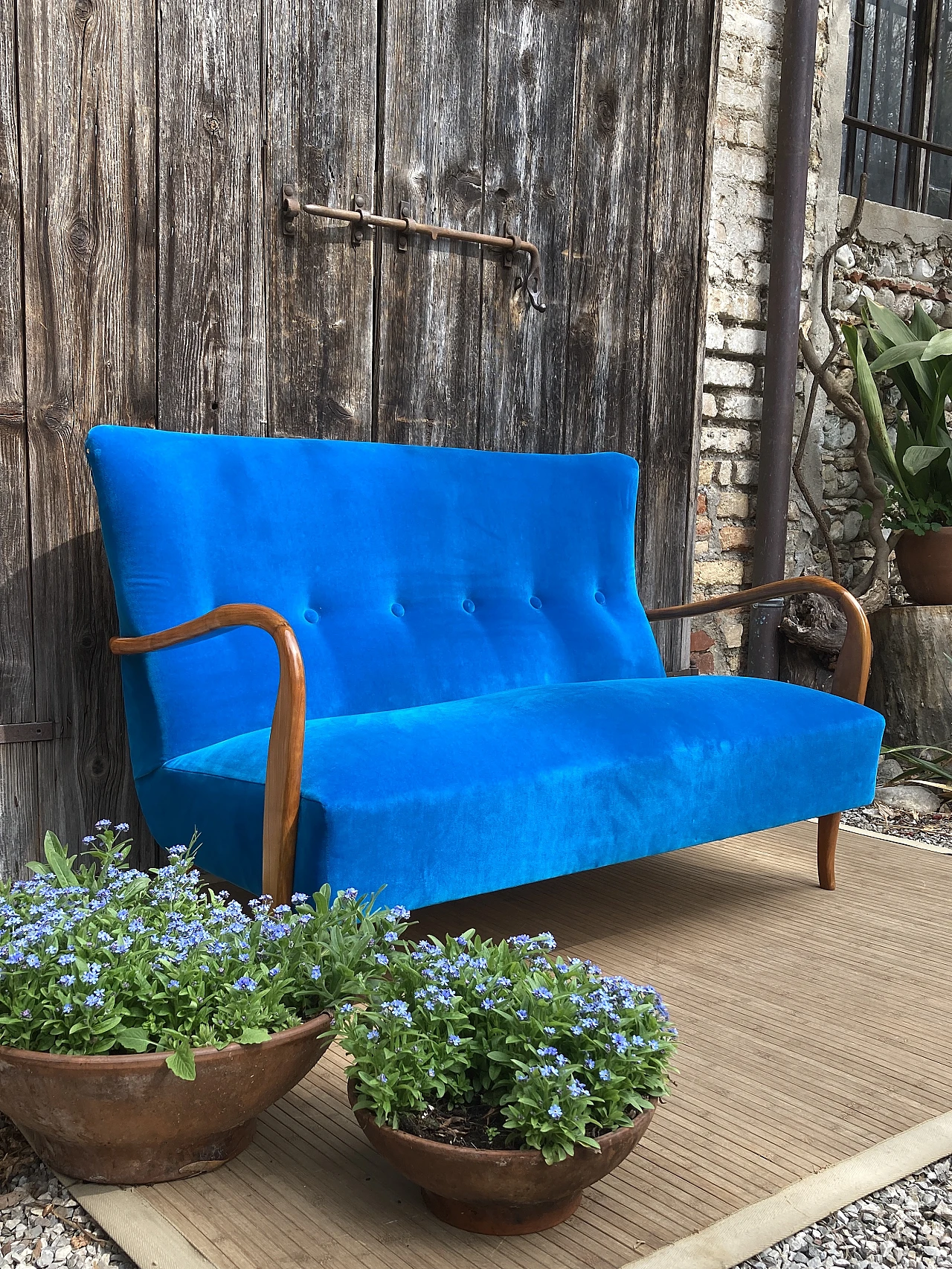 Solid cherry wood and blue velvet sofa, 1940s 2