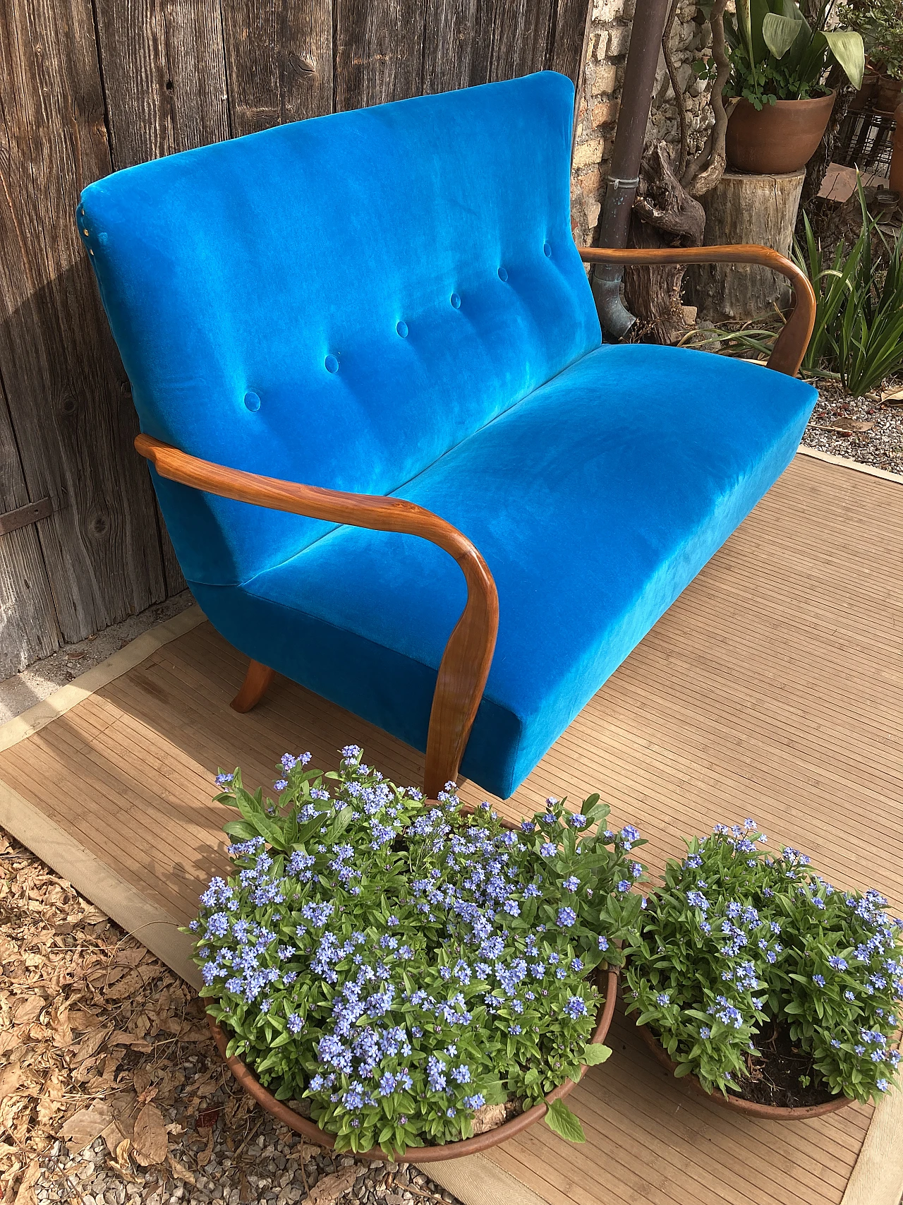 Solid cherry wood and blue velvet sofa, 1940s 3