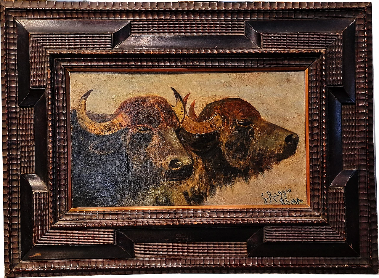 Giuseppe Raggio, Buffalo heads, oil on cardboard, 19th century 1