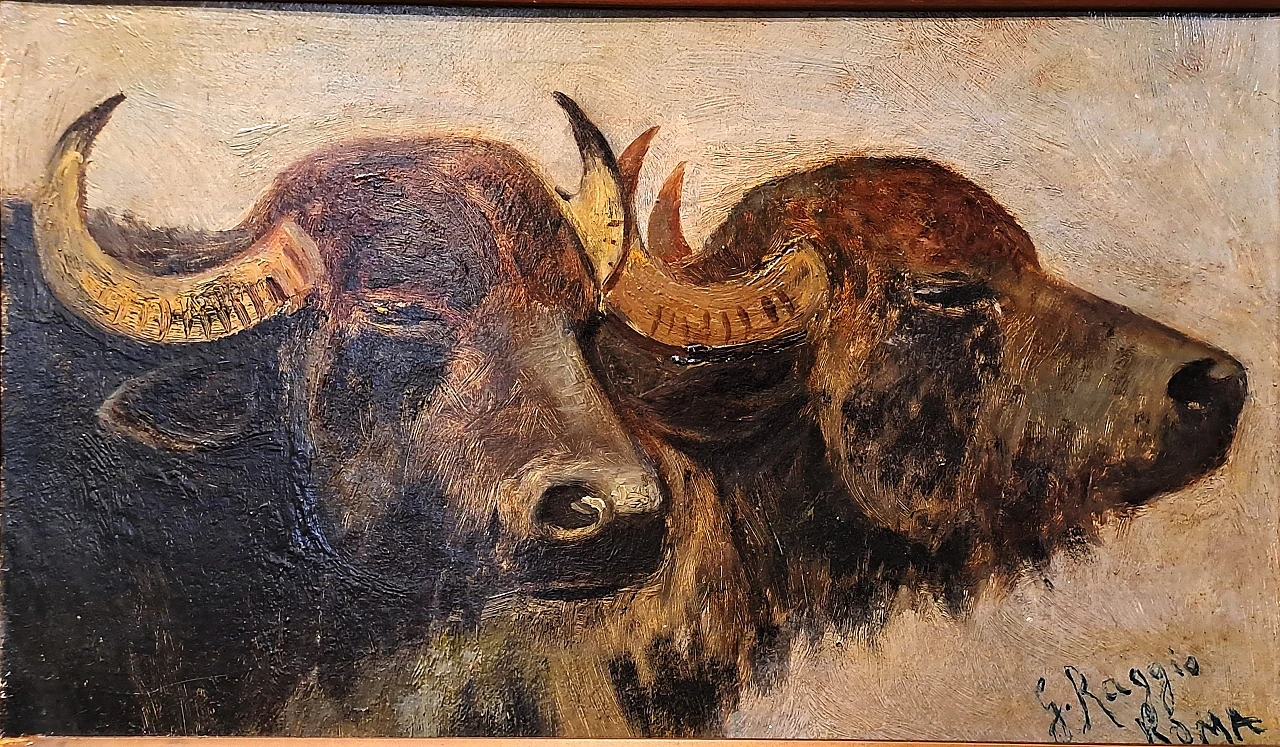 Giuseppe Raggio, Buffalo heads, oil on cardboard, 19th century 2