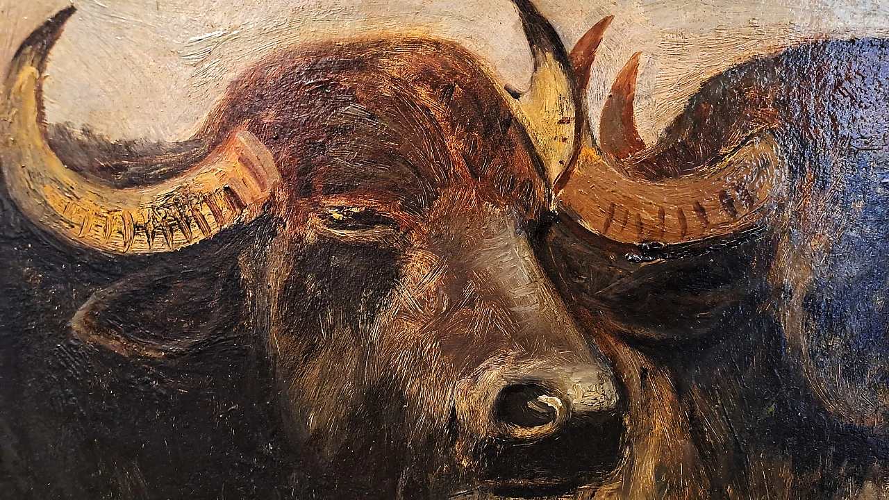 Giuseppe Raggio, Buffalo heads, oil on cardboard, 19th century 4