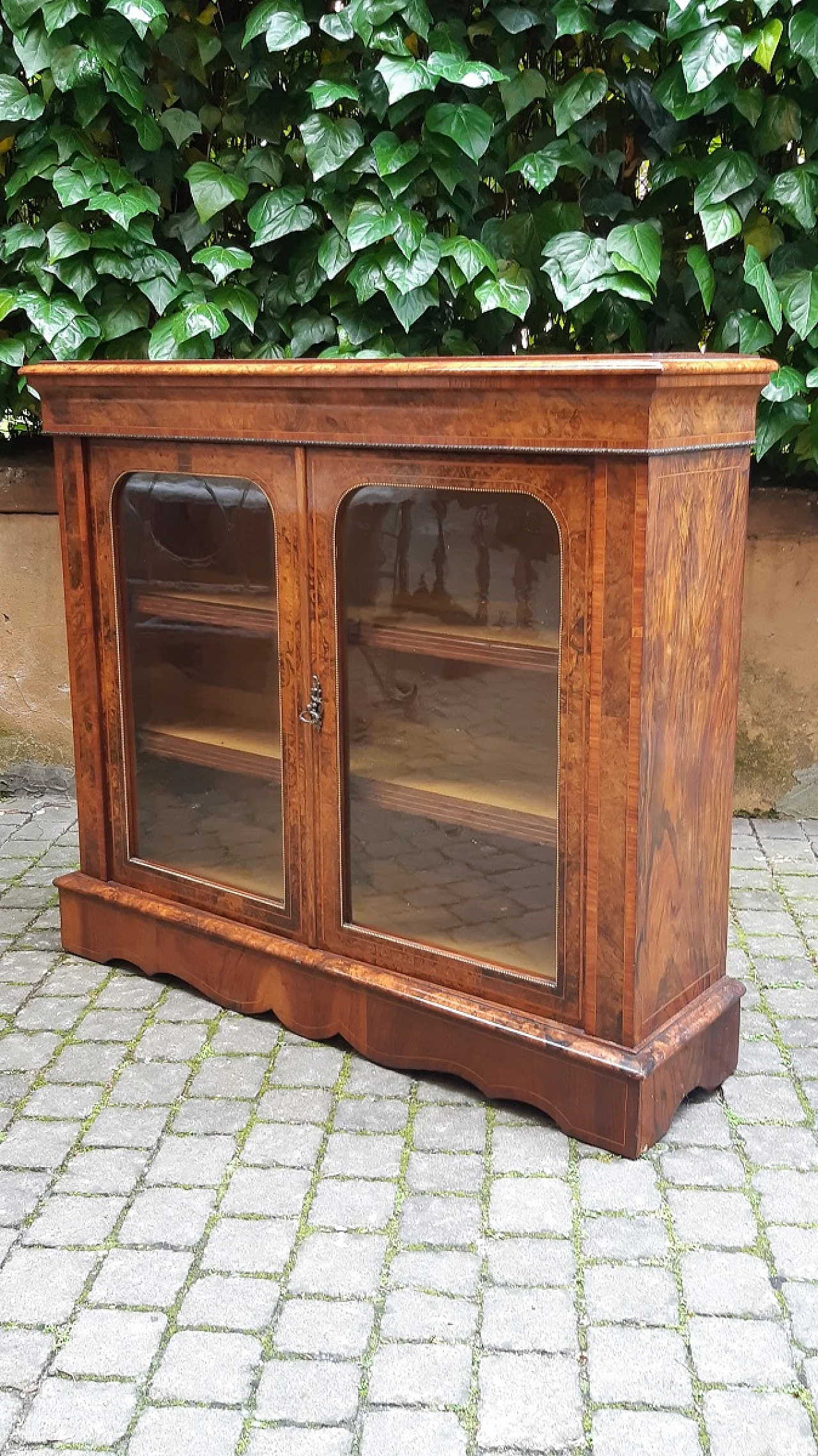 Napoleon III walnut-root display cabinet, late 19th century 1