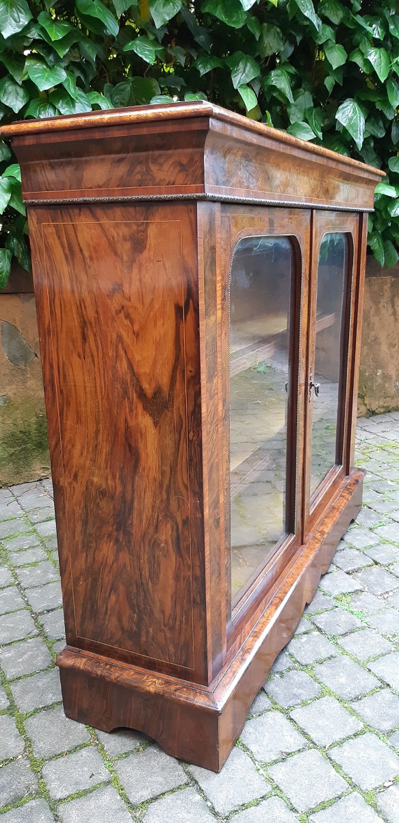 Napoleon III walnut-root display cabinet, late 19th century 3