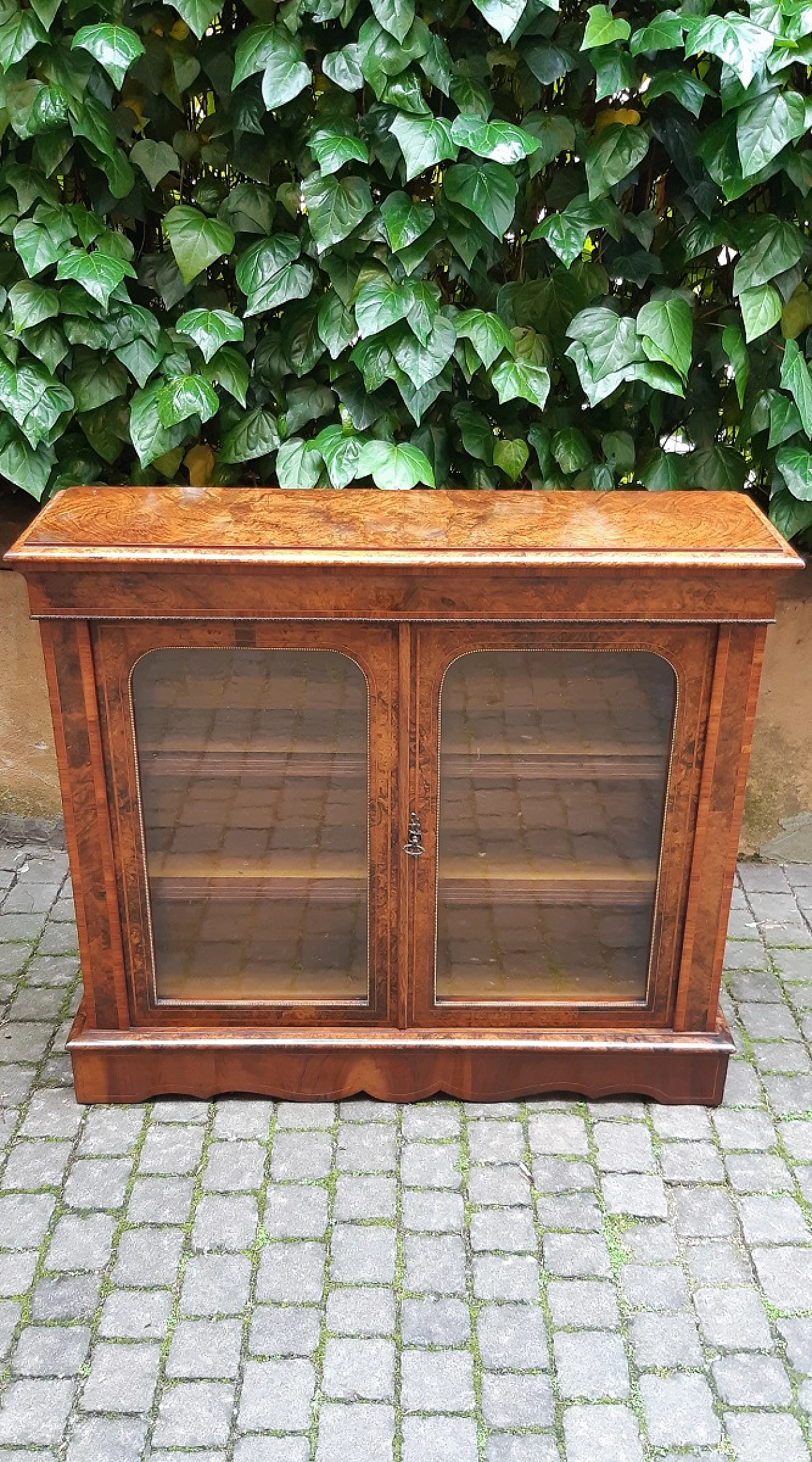 Napoleon III walnut-root display cabinet, late 19th century 13