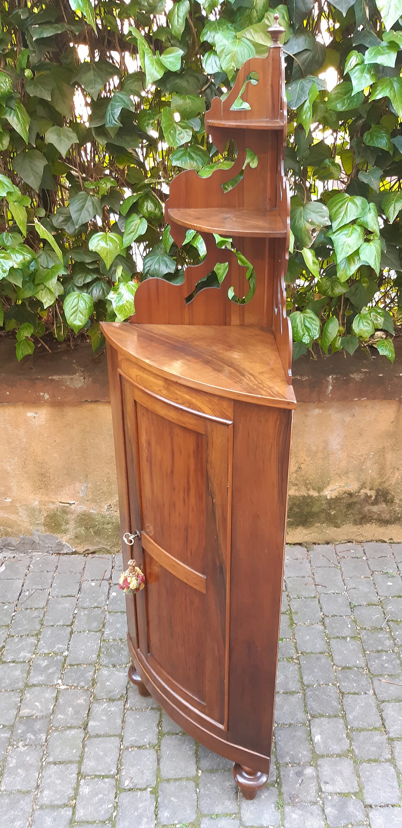 Emilian rounded walnut and cherry wood corner cabinet, 19th century 2