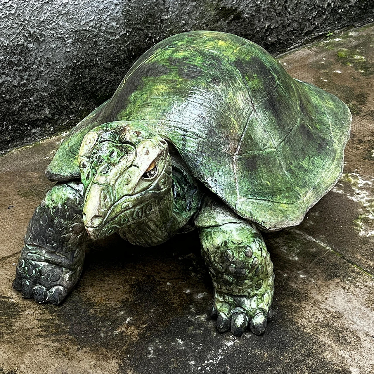 Aldabra giant tortoise, ceramic sculpture, 1970s 5