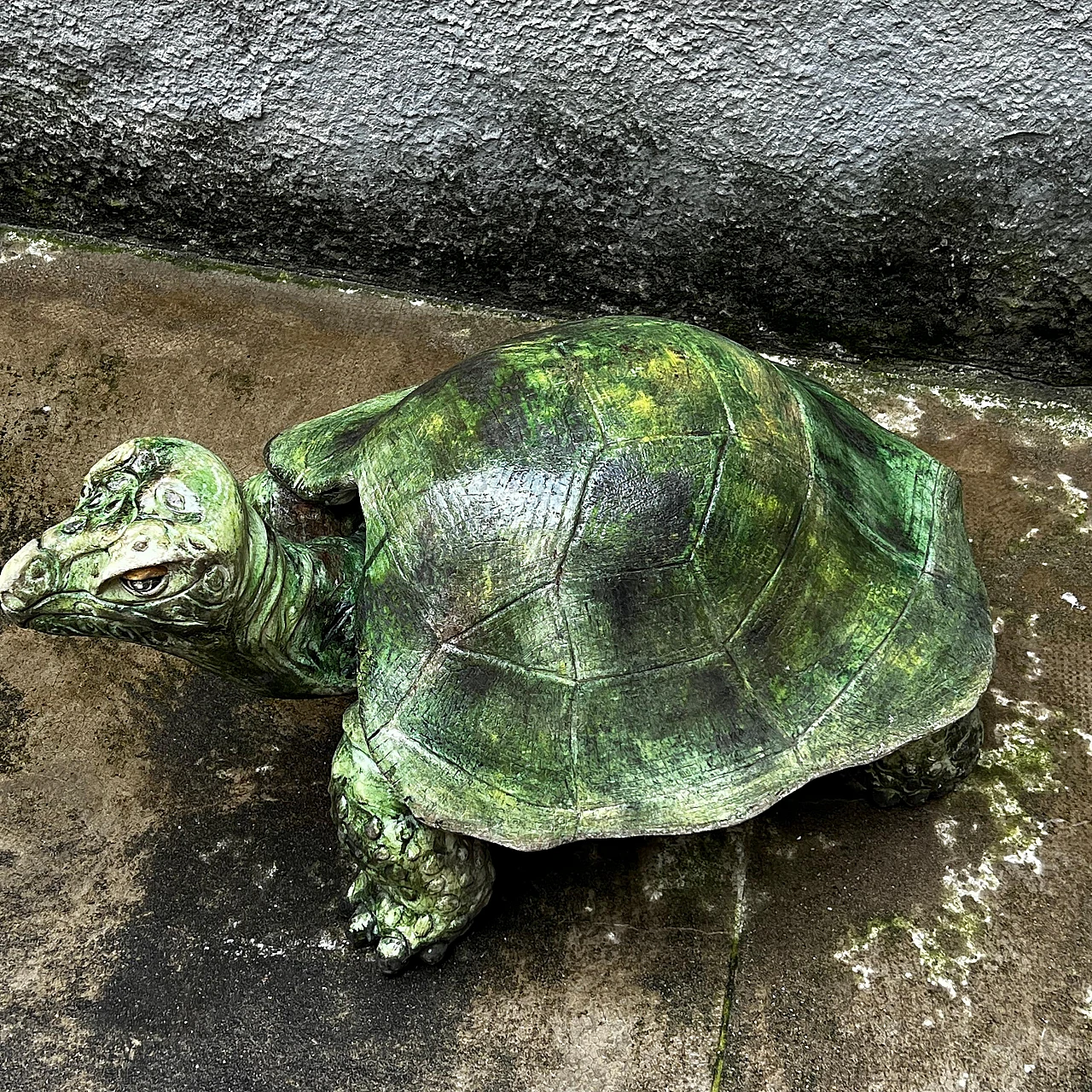 Aldabra giant tortoise, ceramic sculpture, 1970s 9