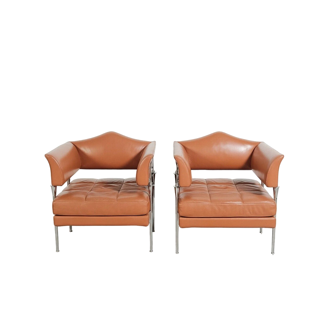 Pair of Hydra Sirius armchairs by Poltrona Frau, 1990s 2