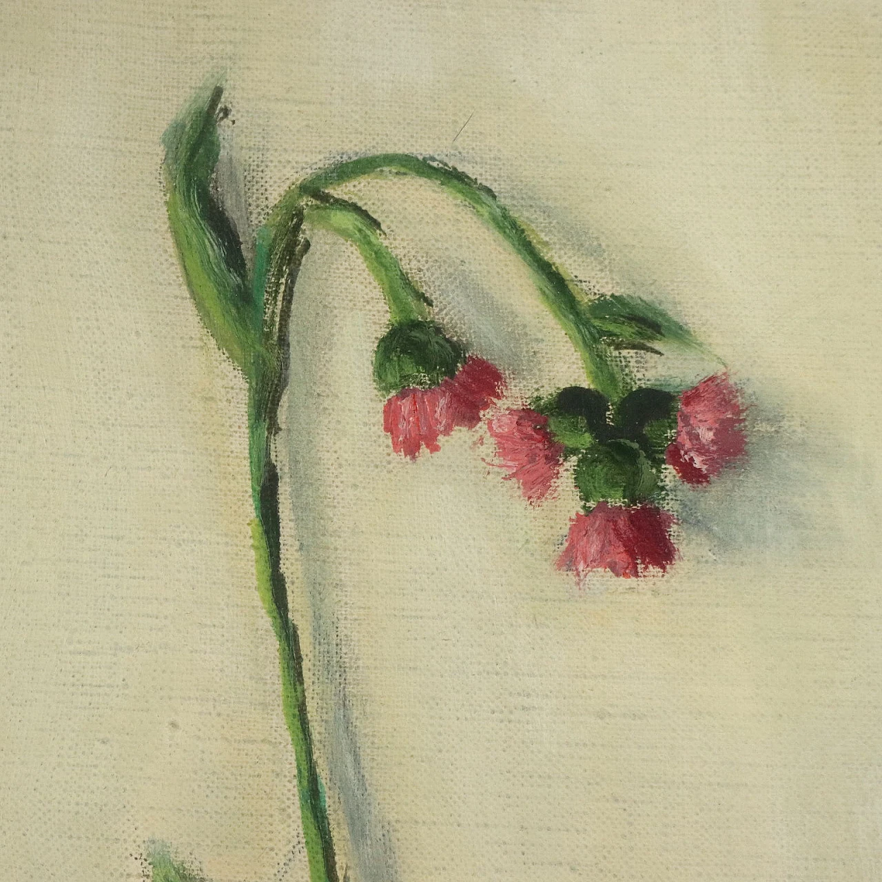 Fiorenzo Tomea, fiori di cardo, dipinto a olio su tela, 1958 3