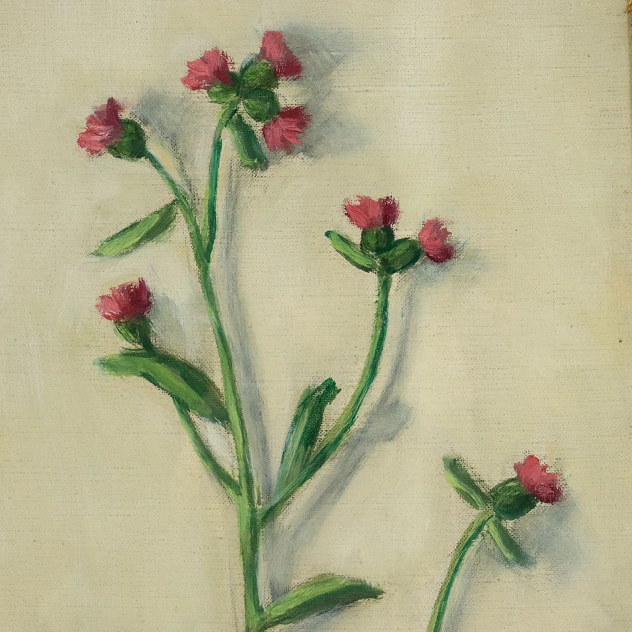 Fiorenzo Tomea, fiori di cardo, dipinto a olio su tela, 1958 4