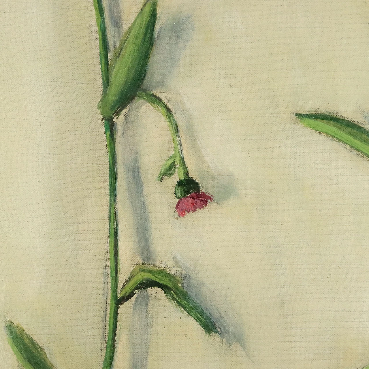 Fiorenzo Tomea, fiori di cardo, dipinto a olio su tela, 1958 5