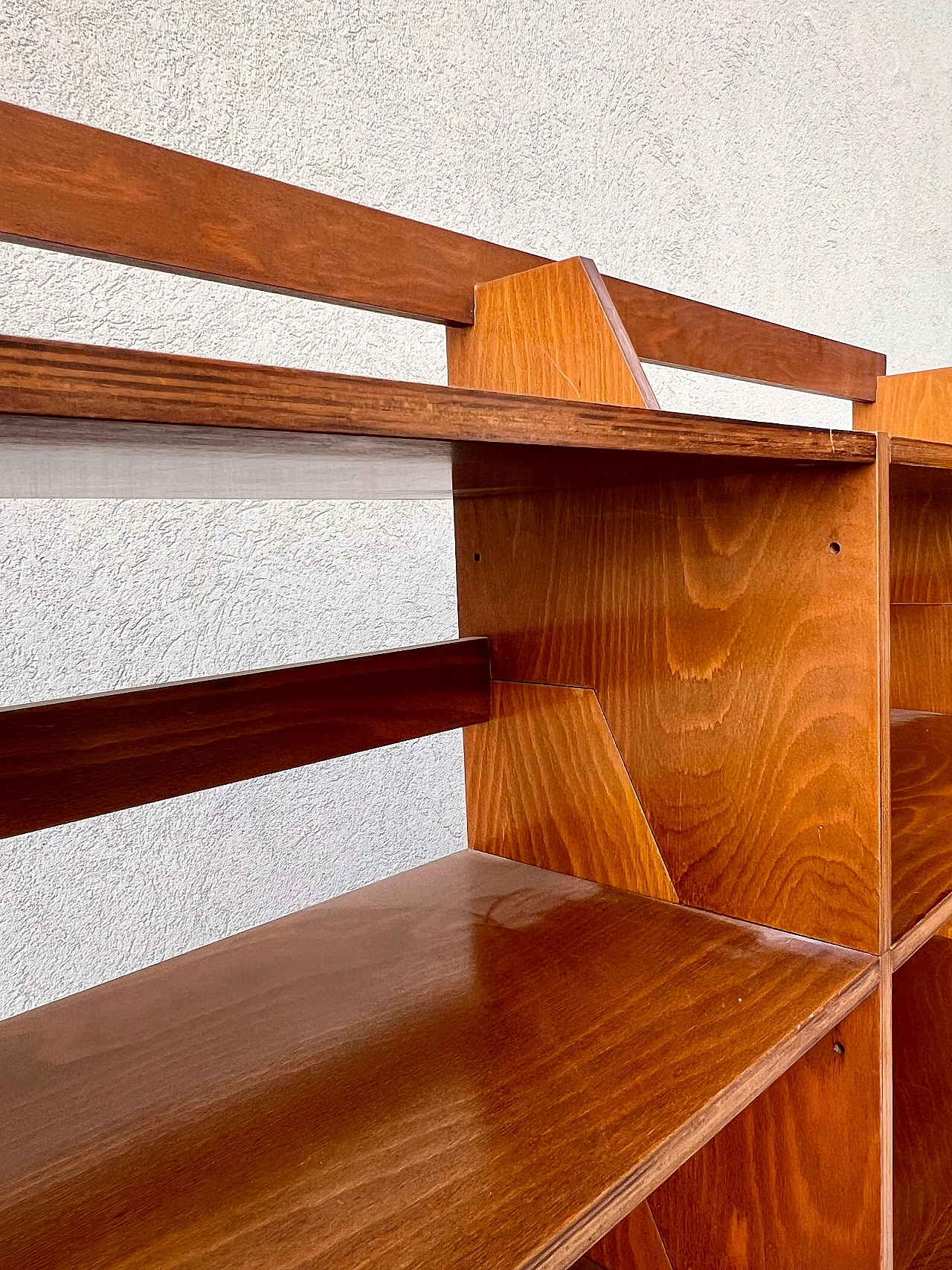 F54 bookcase by Renato Forti for MC Selvini, 1950s 5