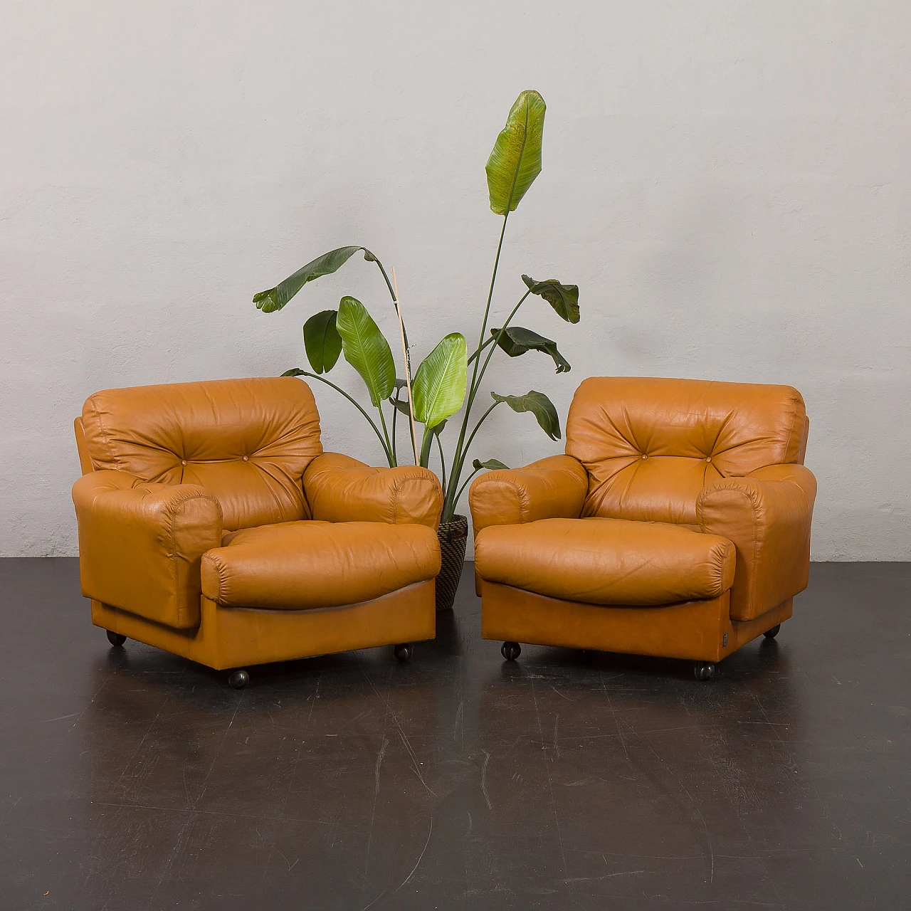 Pair of cognac leather lounge chairs by Busnelli, 1970s 16