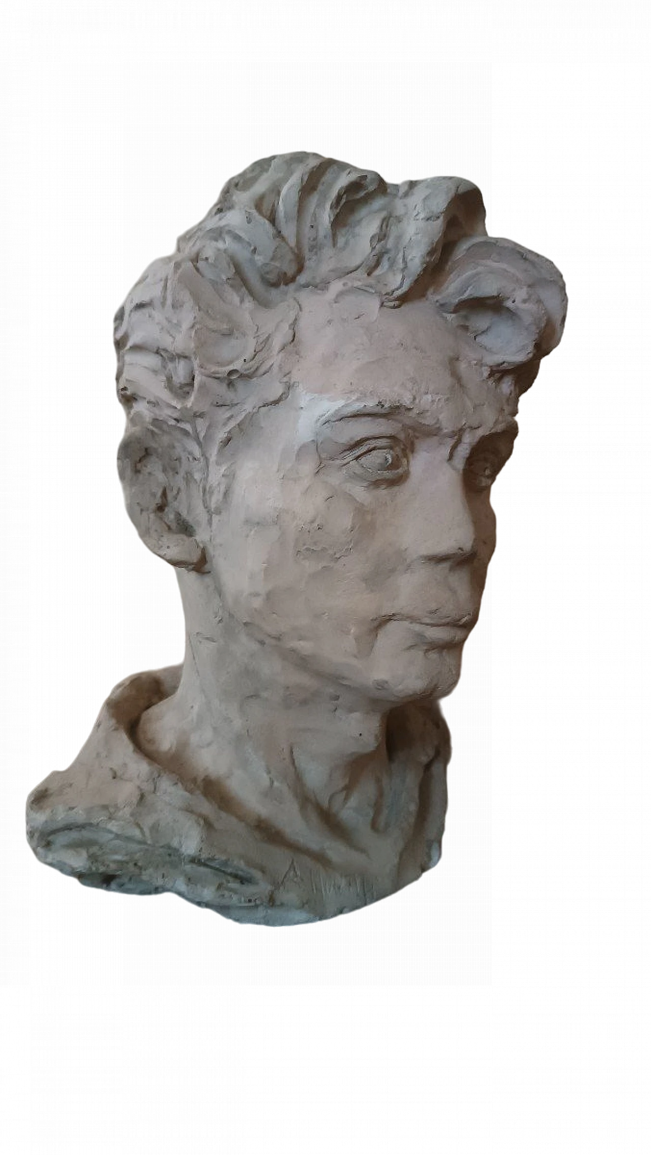 A. Novelli, male bust, plaster sculpture 2