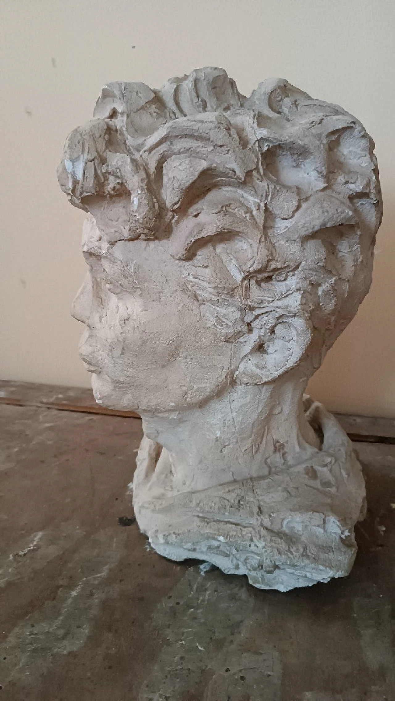 A. Novelli, male bust, plaster sculpture 6