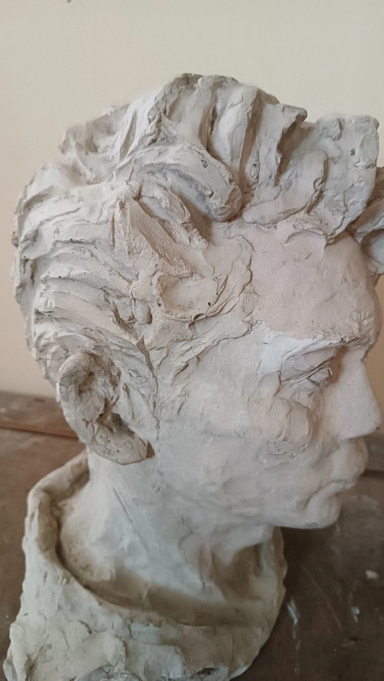 A. Novelli, male bust, plaster sculpture 8