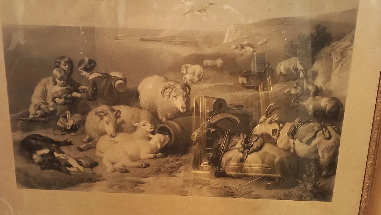 Engraving depicting animals with Charles style X frame, 19th century 2