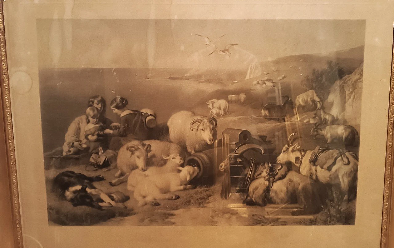 Engraving depicting animals with Charles style X frame, 19th century 3