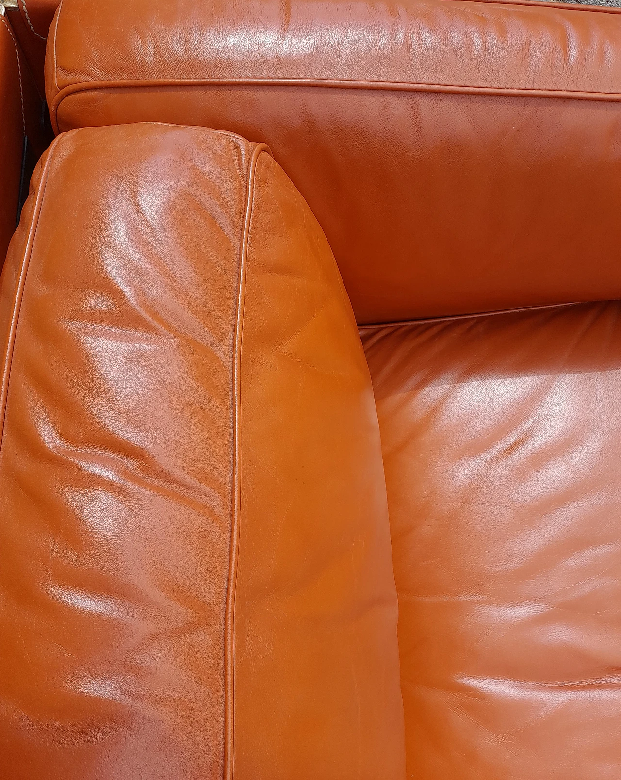 Twice leather sofa by Pierluigi Cerri for Poltrona Frau, 1980s 2