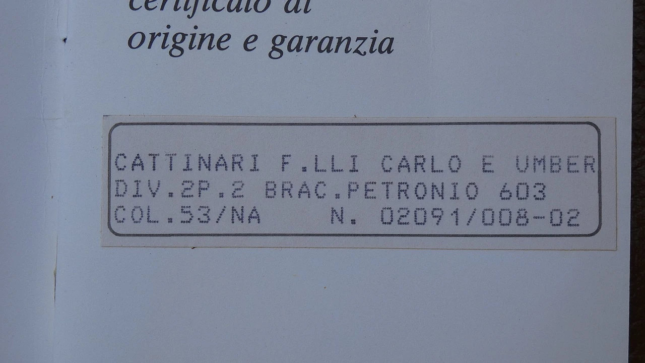 Coppia di divani Petronio 603 di T. Agnoli per Poltrona Frau, anni '70 36