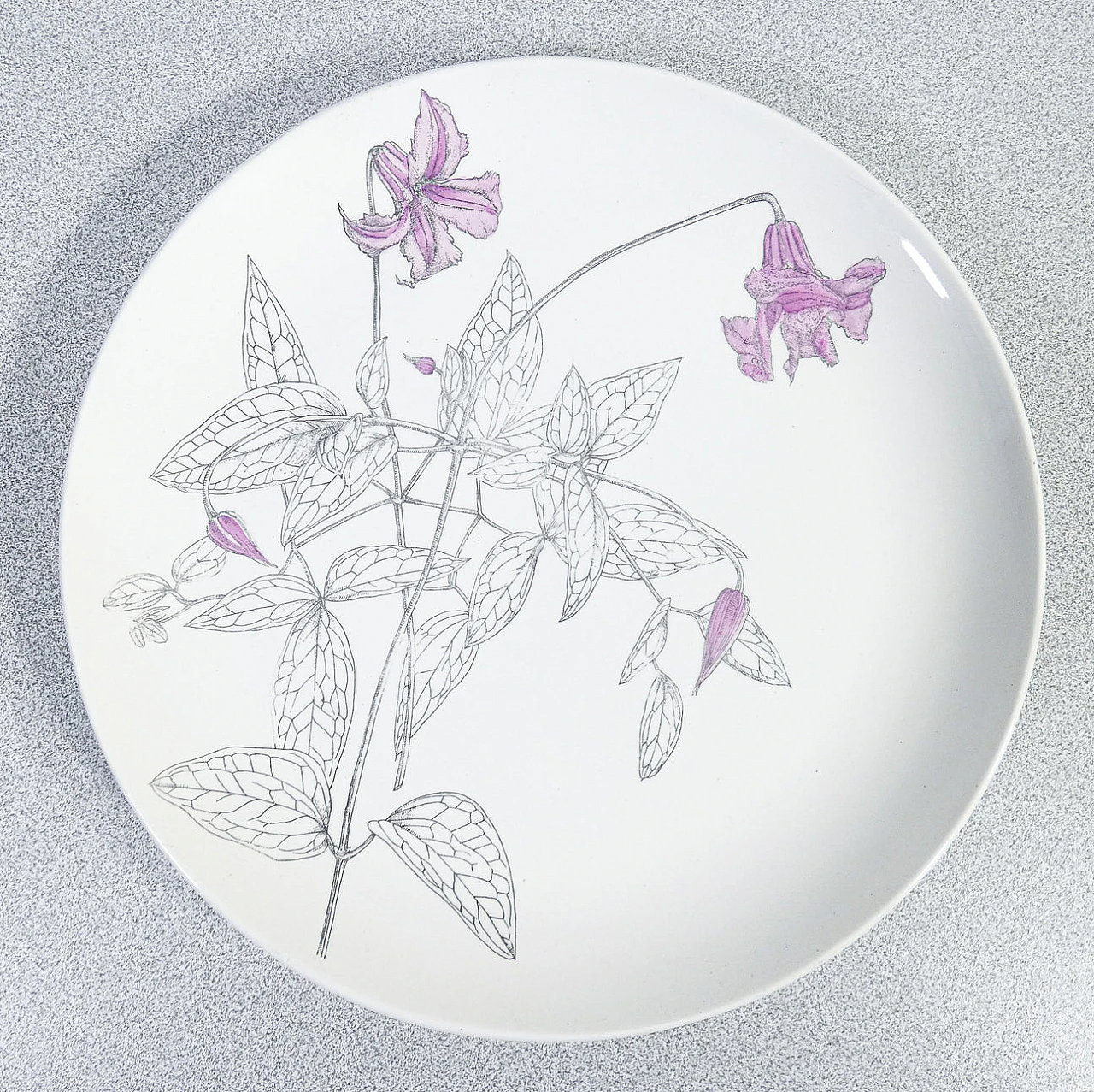 6 Porcelain Clematites plates by Piero Fornasetti, 1950s 4