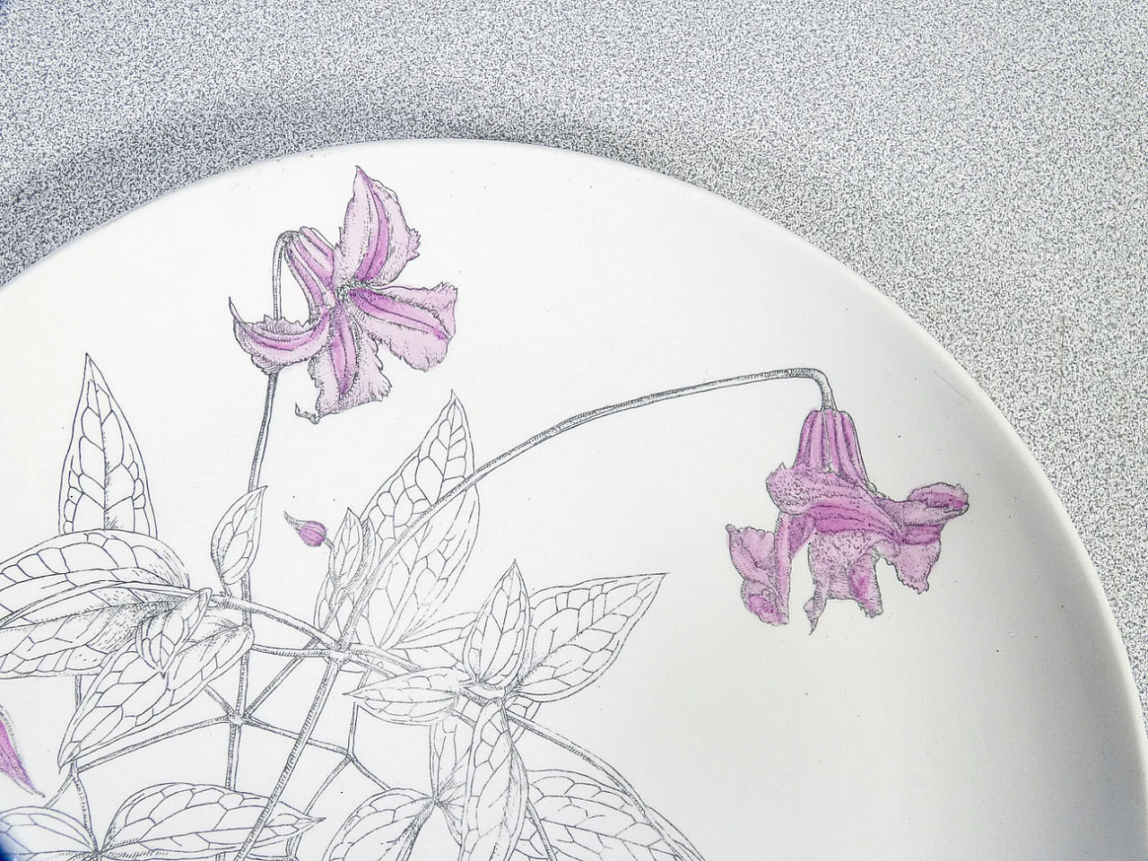 6 Porcelain Clematites plates by Piero Fornasetti, 1950s 5