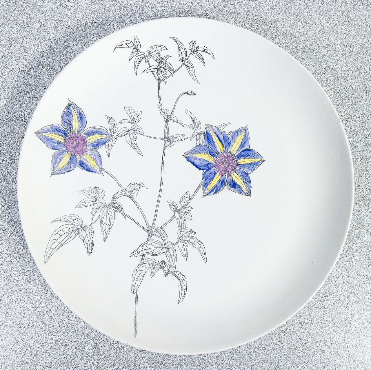 6 Porcelain Clematites plates by Piero Fornasetti, 1950s 6