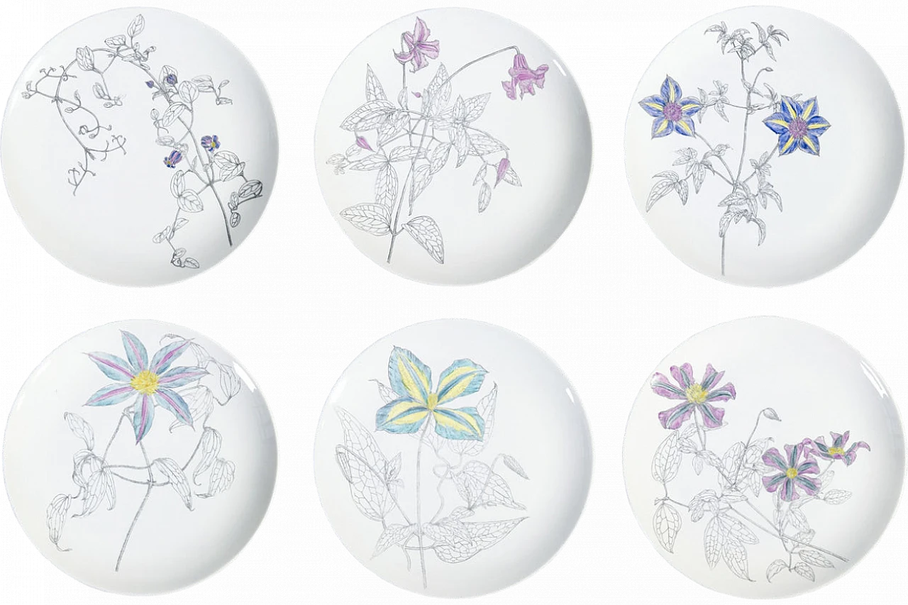 6 Piatti Clematites in porcellana di Piero Fornasetti, anni '50 22