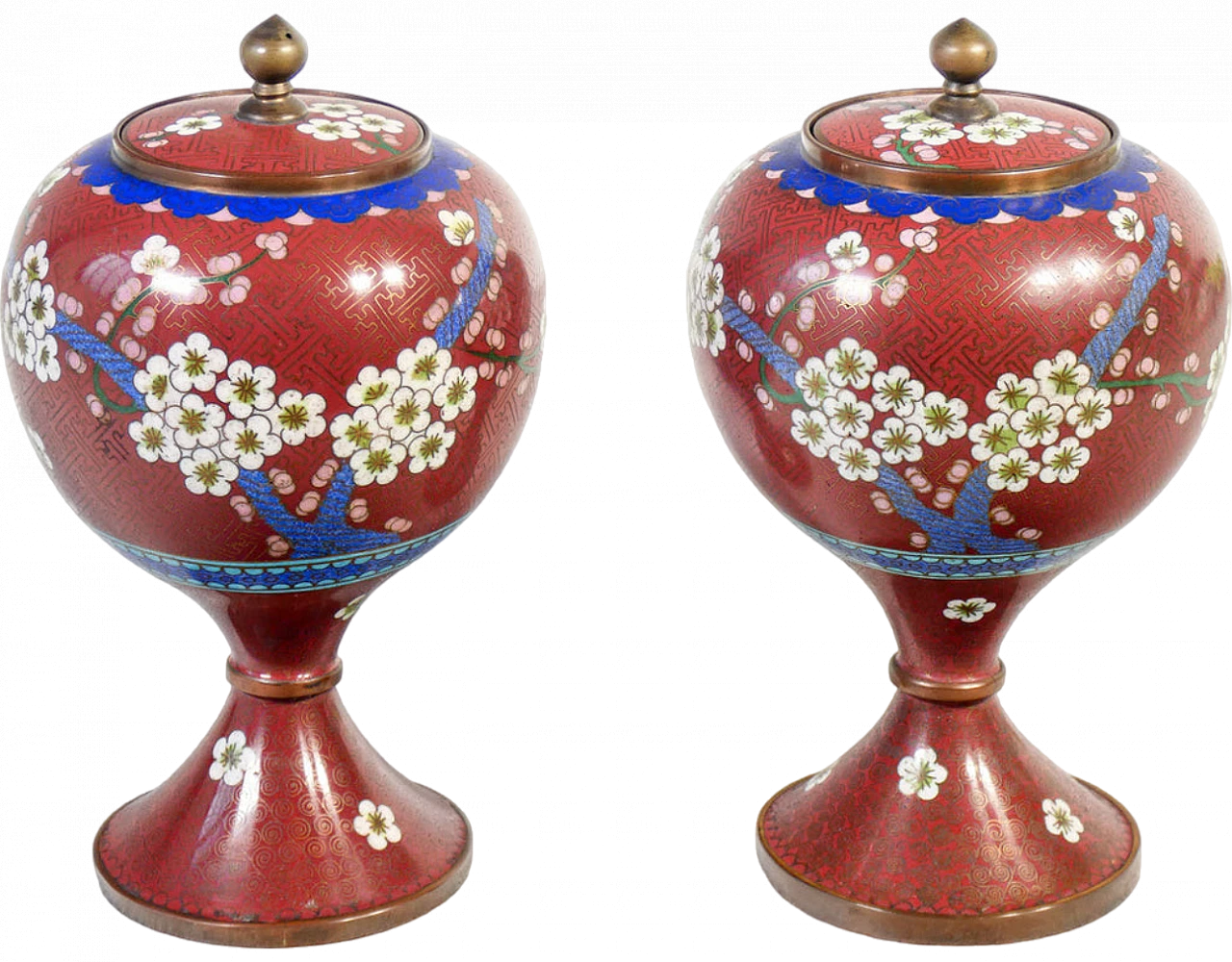 Coppia di vasi cloisonné con coperchio 15