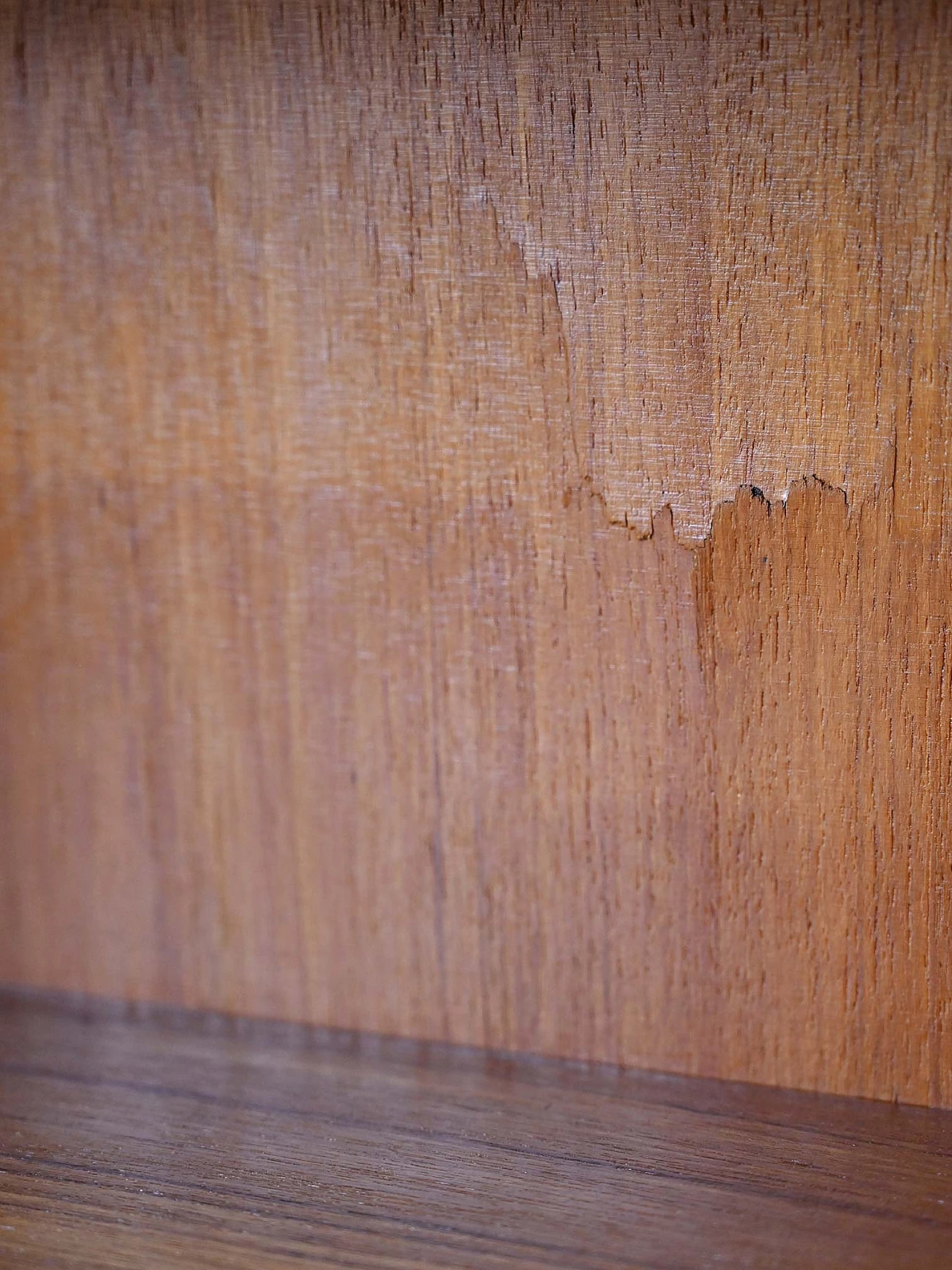 Scandinavian teak and oak bookcase, 1960s 8