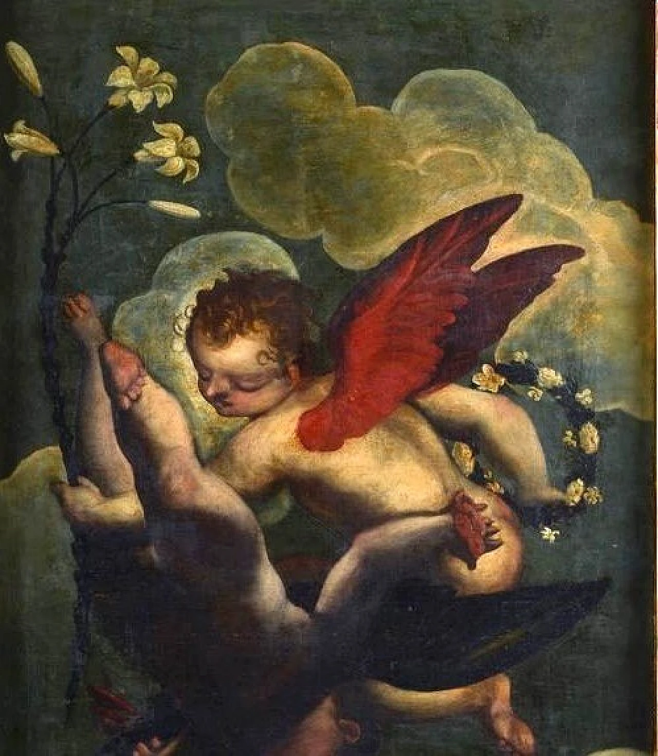 Putti di sotto in su, oil on canvas, 17th century 5