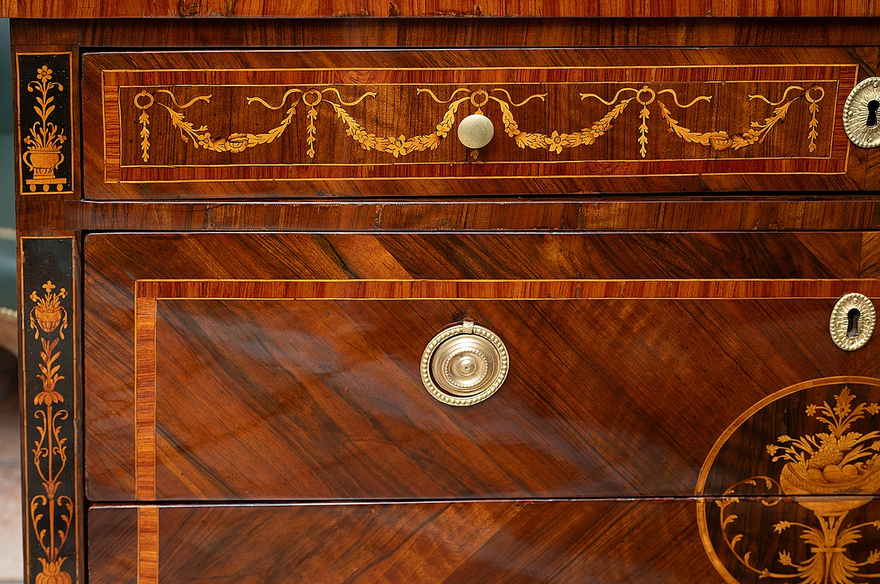 Louis XVI chest of drawers in exotic woods, 18th century 3