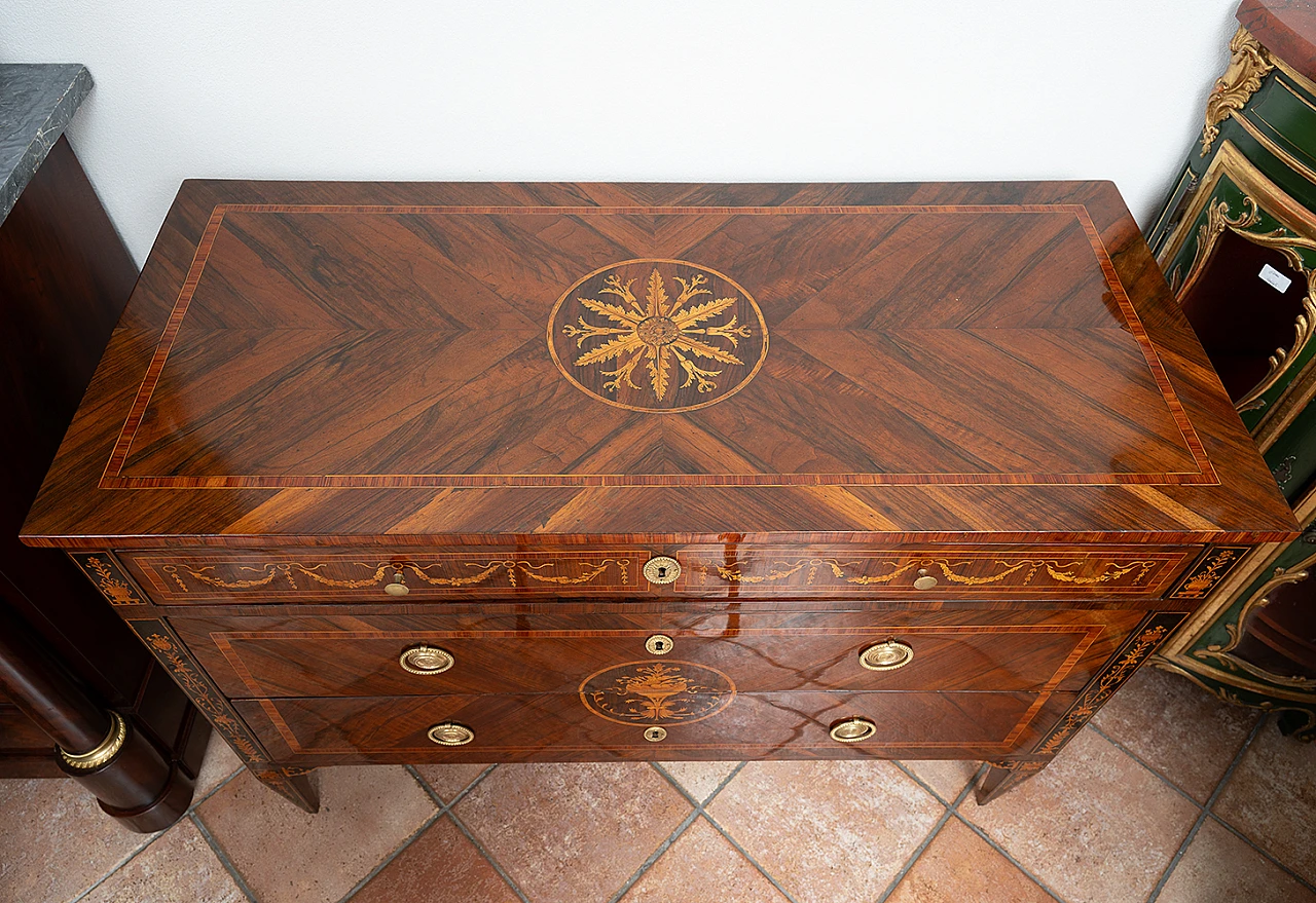 Louis XVI chest of drawers in exotic woods, 18th century 5