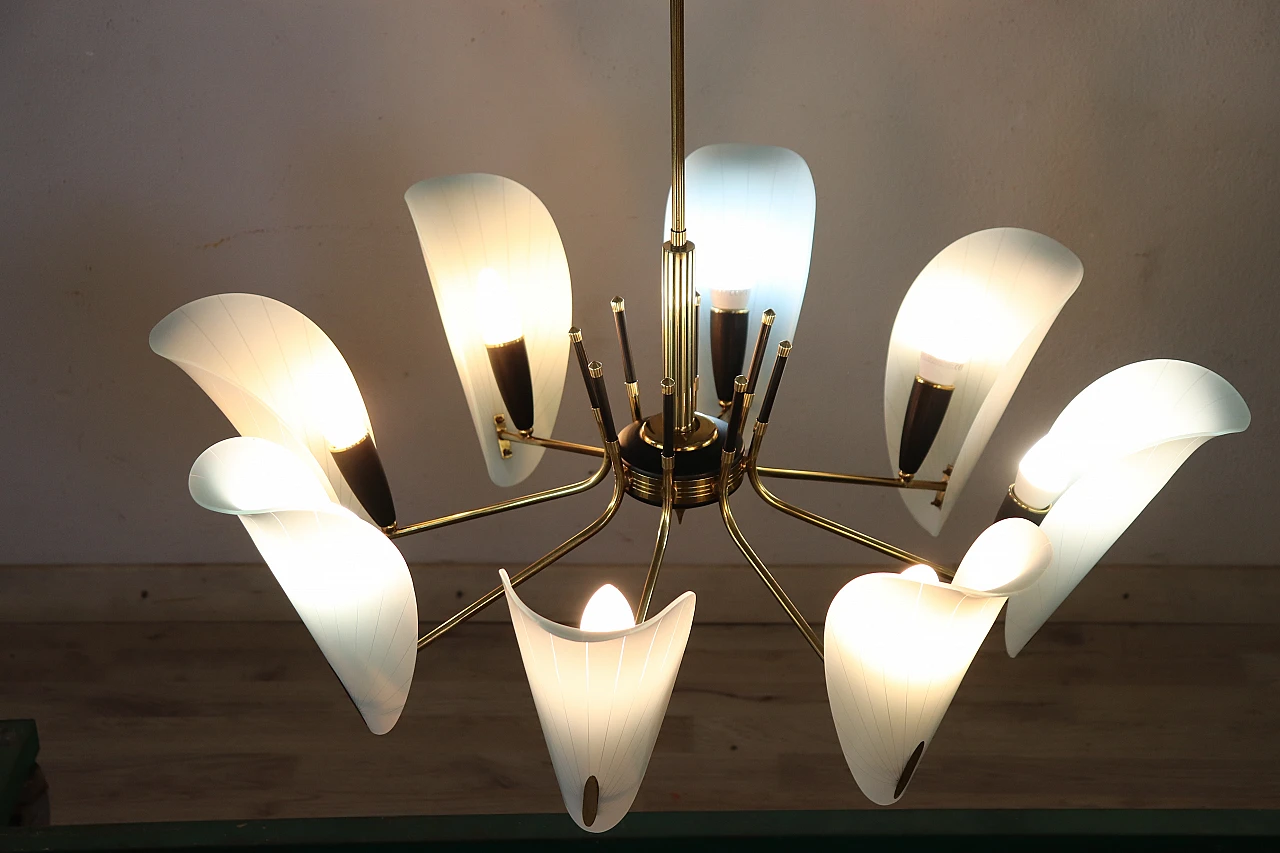 Eight-light chandelier with petal glass shades, 1950s 2