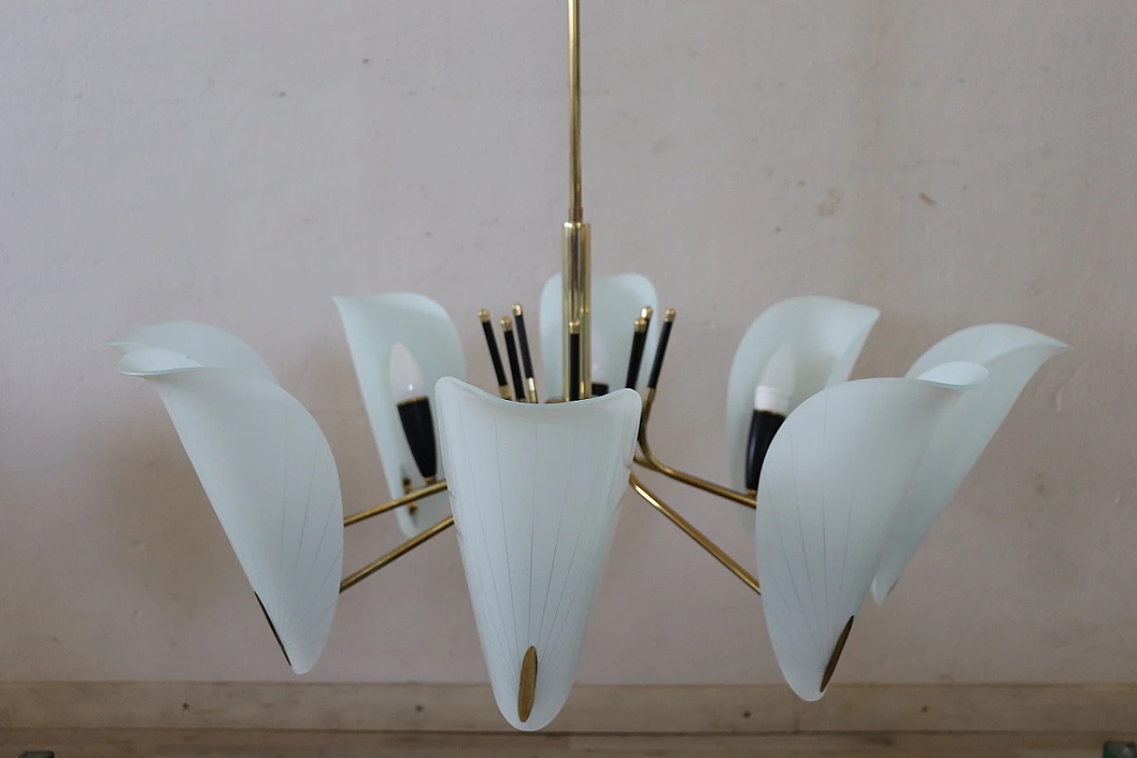 Eight-light chandelier with petal glass shades, 1950s 3