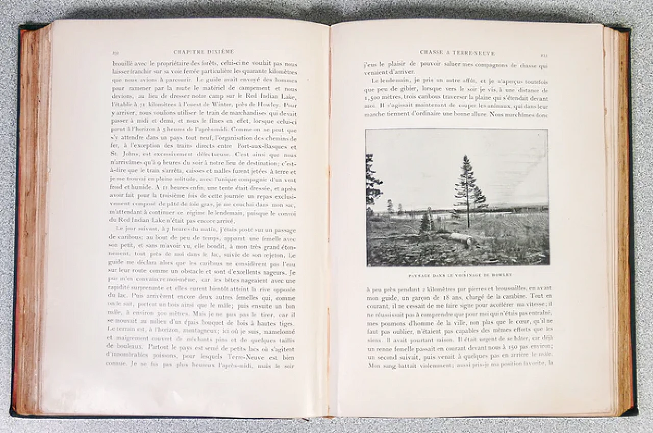 Paul Niedieck, Mes chasses dans les cinq parties du Monde, 1907 6