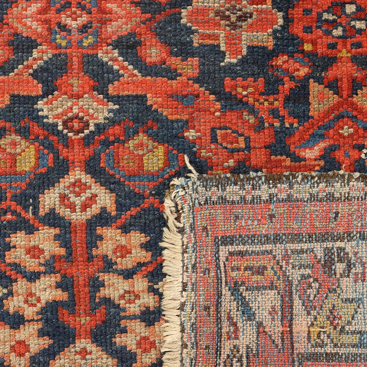 Malayer Iranian cotton and wool carpet 10