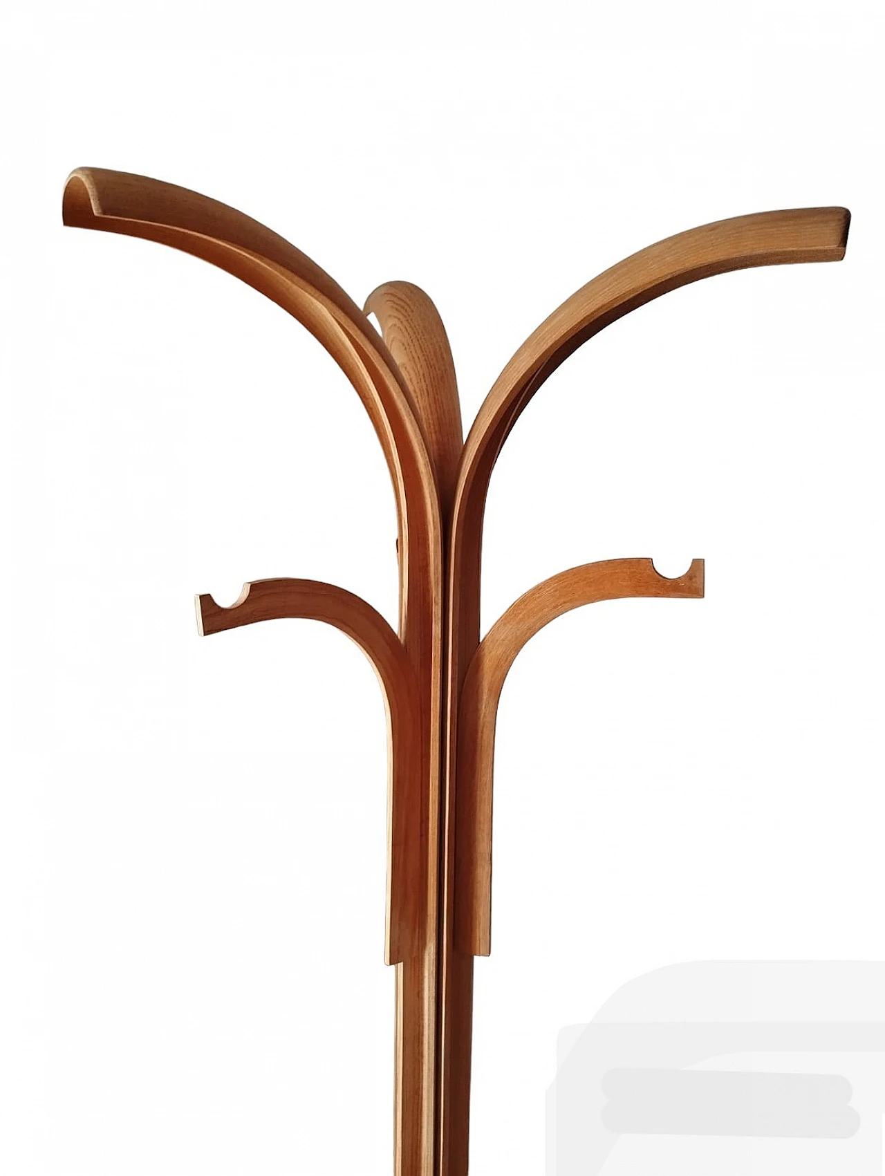 Bent ash coat stand by Offredi Giovanni for Crassevig, 1970s 6