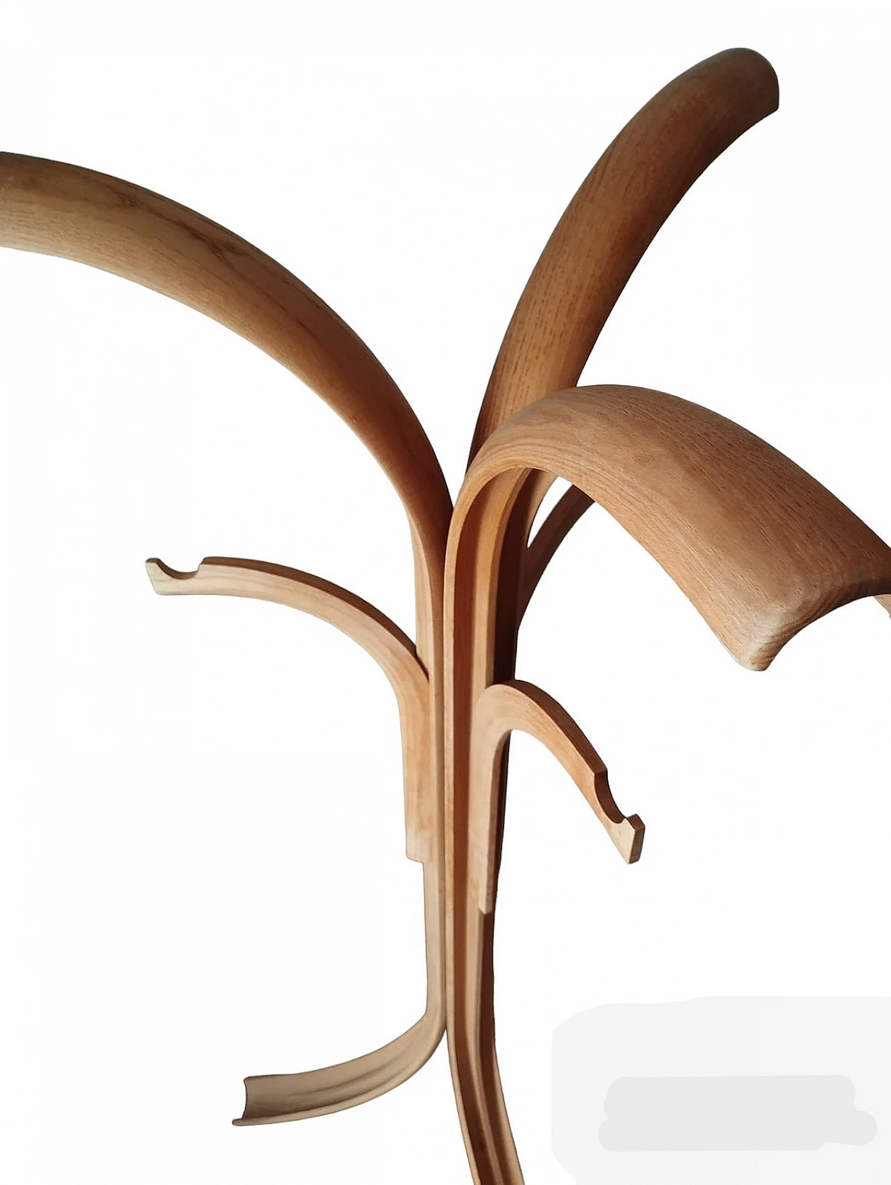 Bent ash coat stand by Offredi Giovanni for Crassevig, 1970s 7