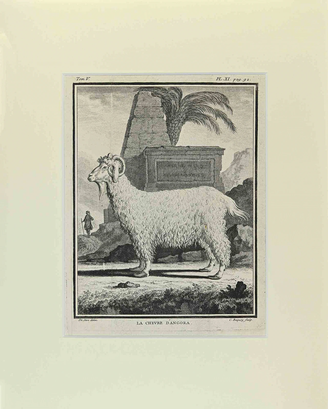 Buvée l'Américain, La Chevre Dangora, Etching 18th century 1