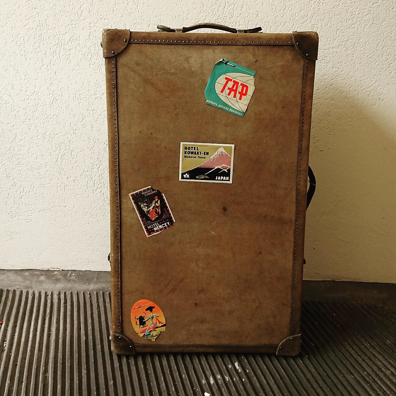 Parchment wardrobe trunk case, 1930s 1