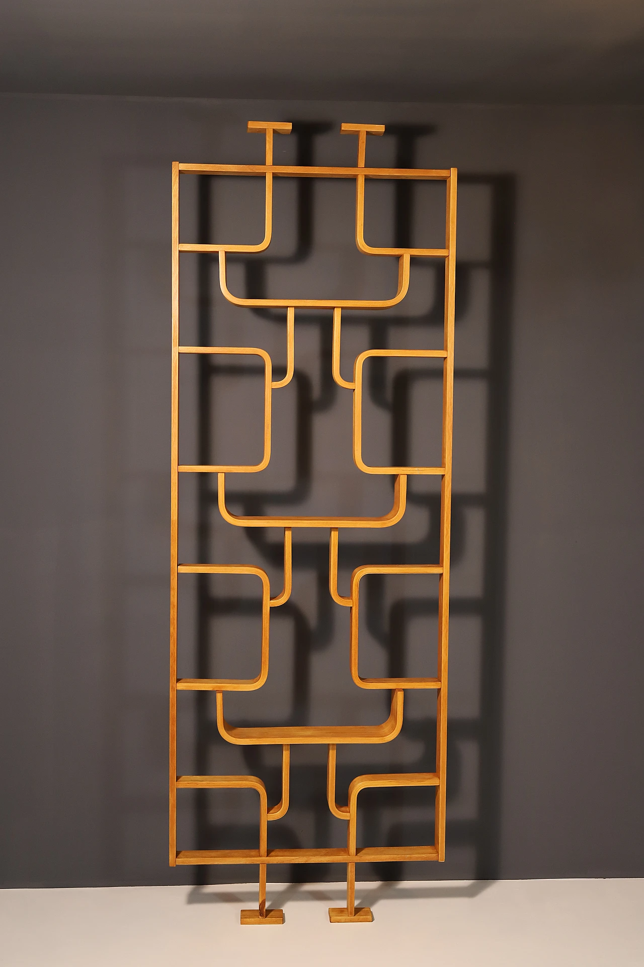 Divider by Ludvik Volak from Drevopodnik Holesov, 1970s 2