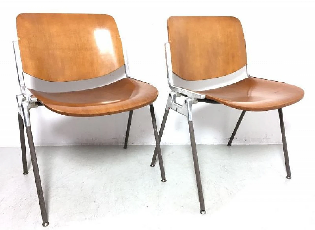 Pair of DSC 106 chairs in beechwood by Giancarlo Piretti for Anonima Castelli, 60s 1185486