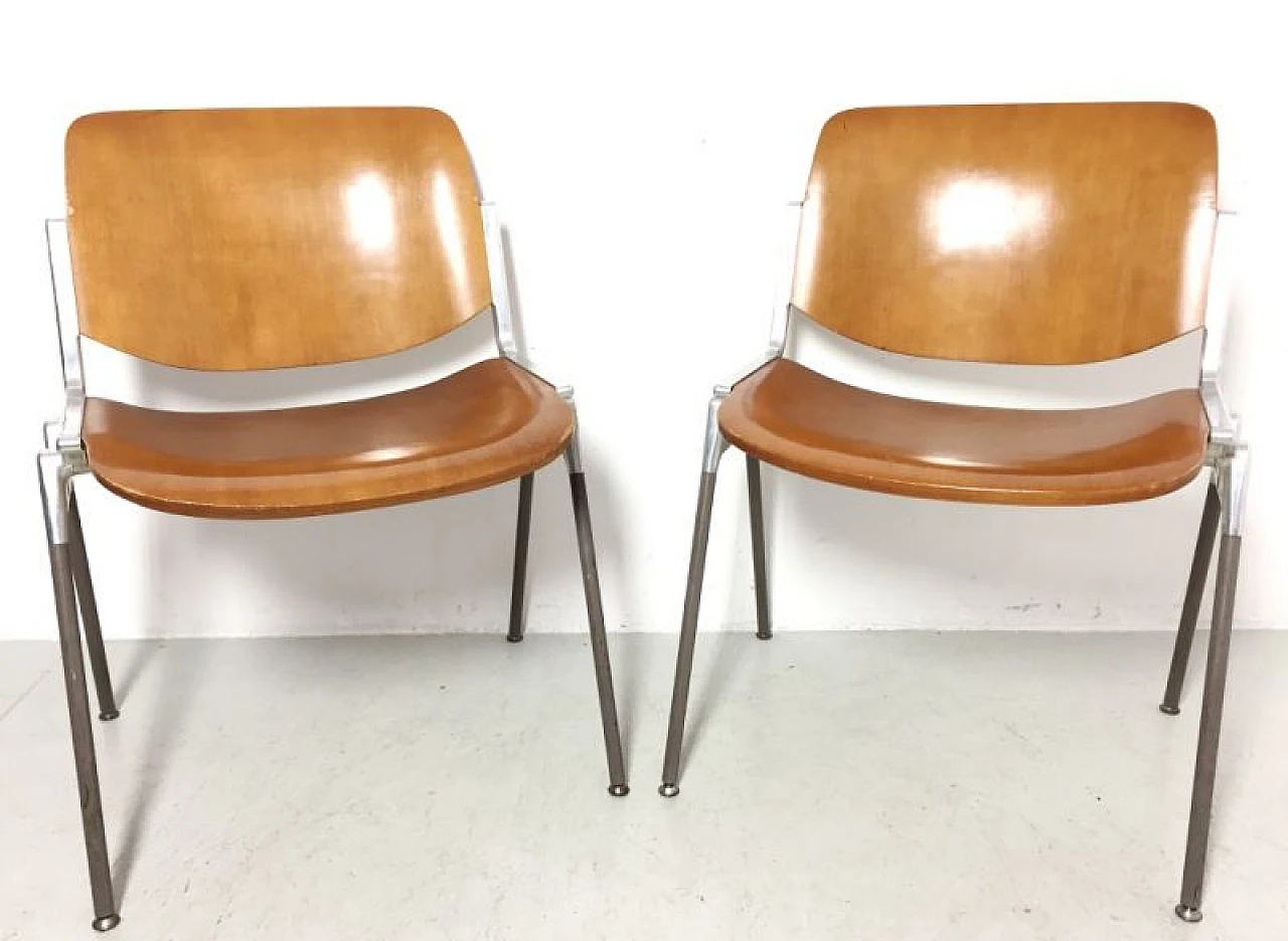 Pair of DSC 106 chairs in beechwood by Giancarlo Piretti for Anonima Castelli, 60s 1185487